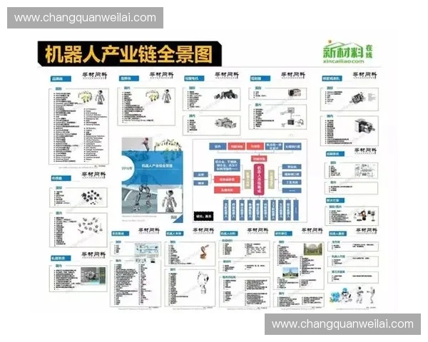 聚焦DEN足球联赛发展趋势与未来竞技格局全景深度权威解析前瞻
