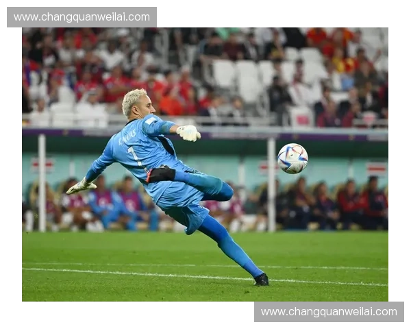 2015年世界杯精彩回顾与历史性瞬间：冠军之争与突破性表现分析